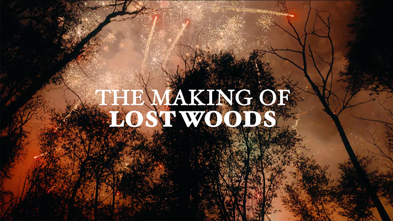 LOST WOODS